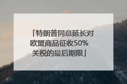 特朗普同意延长对欧盟商品征收50%关税的最后期限