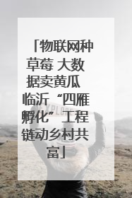 物联网种草莓 大数据卖黄瓜 临沂“四雁孵化”工程链动乡村共富