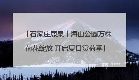 石家庄鹿泉丨海山公园万株荷花绽放 开启夏日赏荷季