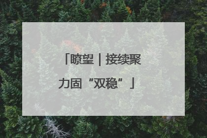瞭望｜接续聚力固“双稳”