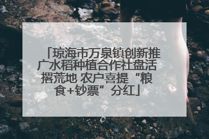 琼海市万泉镇创新推广水稻种植合作社盘活撂荒地 农户喜提“粮食+钞票”分红