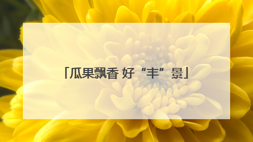 瓜果飘香 好“丰”景