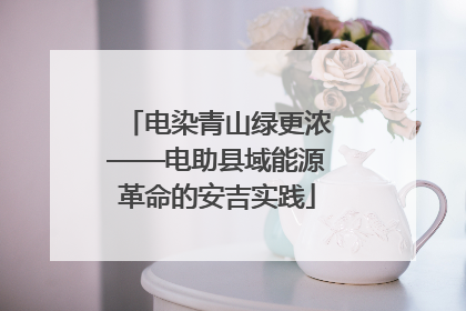 电染青山绿更浓——电助县域能源革命的安吉实践