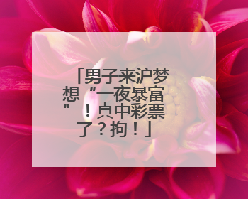 男子来沪梦想“一夜暴富”！真中彩票了？拘！