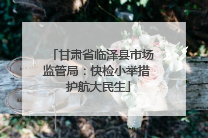 甘肃省临泽县市场监管局：快检小举措 护航大民生