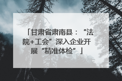 甘肃省肃南县：“法院+工会”深入企业开展“精准体检”