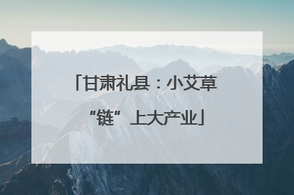 甘肃礼县：小艾草“链”上大产业