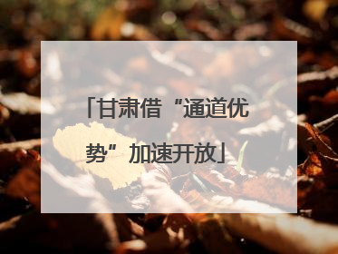 甘肃借“通道优势”加速开放
