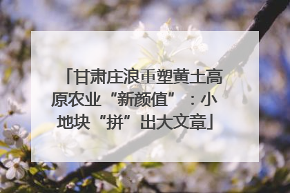 甘肃庄浪重塑黄土高原农业“新颜值”：小地块“拼”出大文章