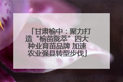 甘肃榆中：聚力打造“榆苗陇萃”四大种业育苗品牌 加速农业强县转型步伐