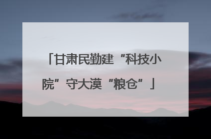 甘肃民勤建“科技小院”守大漠“粮仓”