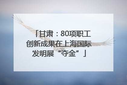 甘肃：80项职工创新成果在上海国际发明展“夺金”