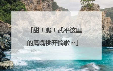 甜！脆！武平这里的鹰嘴桃开摘啦～
