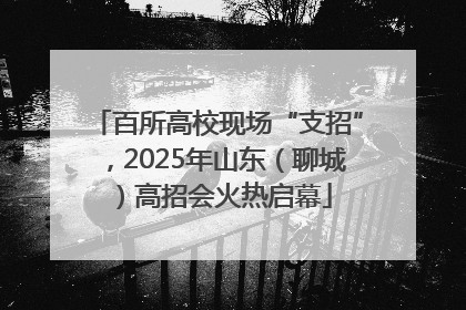 百所高校现场“支招”，2025年山东（聊城）高招会火热启幕