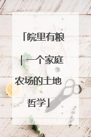 皖里有粮｜一个家庭农场的土地哲学