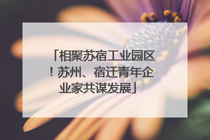 相聚苏宿工业园区！苏州、宿迁青年企业家共谋发展