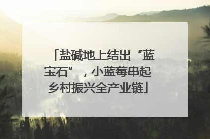 盐碱地上结出“蓝宝石”，小蓝莓串起乡村振兴全产业链