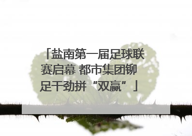 盐南第一届足球联赛启幕 都市集团铆足干劲拼“双赢”