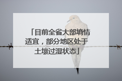 目前全省大部墒情适宜，部分地区处于土壤过湿状态