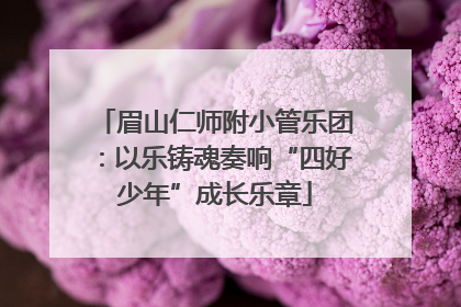 眉山仁师附小管乐团：以乐铸魂奏响“四好少年”成长乐章