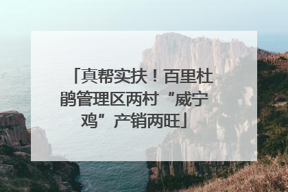 真帮实扶！百里杜鹃管理区两村“威宁鸡”产销两旺