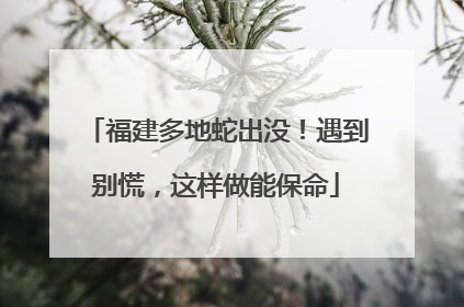 福建多地蛇出没！遇到别慌，这样做能保命
