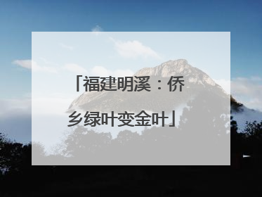 福建明溪：侨乡绿叶变金叶