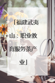 福建武夷山：职业教育服务茶产业