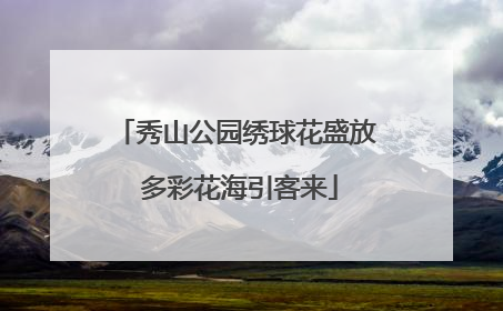 秀山公园绣球花盛放 多彩花海引客来