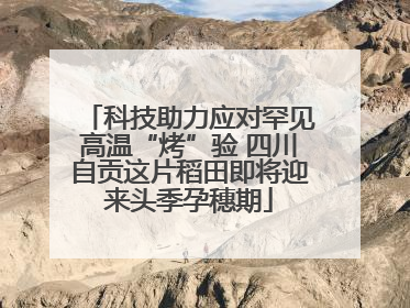 科技助力应对罕见高温“烤”验 四川自贡这片稻田即将迎来头季孕穗期