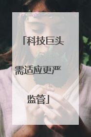 科技巨头需适应更严监管