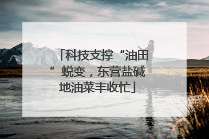 科技支撑“油田”蜕变，东营盐碱地油菜丰收忙