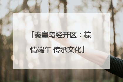 秦皇岛经开区：粽情端午 传承文化