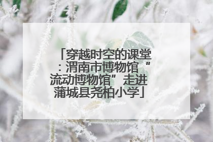 穿越时空的课堂：渭南市博物馆“流动博物馆”走进蒲城县尧柏小学