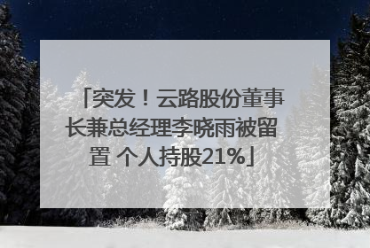 突发！云路股份董事长兼总经理李晓雨被留置 个人持股21%
