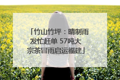 竹山竹坪：晴制雨发忙赶单 57吨大宗茶冒雨启运福建