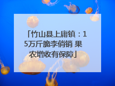 竹山县上庸镇：15万斤脆李俏销 果农增收有保障