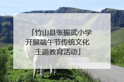 竹山县张振武小学开展端午节传统文化主题教育活动