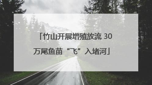 竹山开展增殖放流 30万尾鱼苗“飞”入堵河