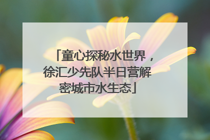 童心探秘水世界，徐汇少先队半日营解密城市水生态