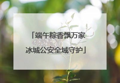 端午粽香飘万家 冰城公安全域守护