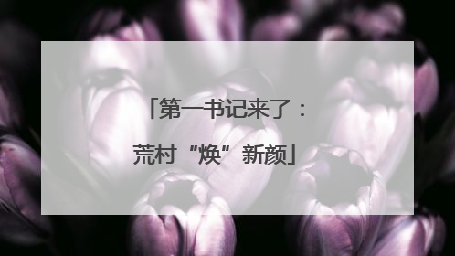 第一书记来了：荒村“焕”新颜