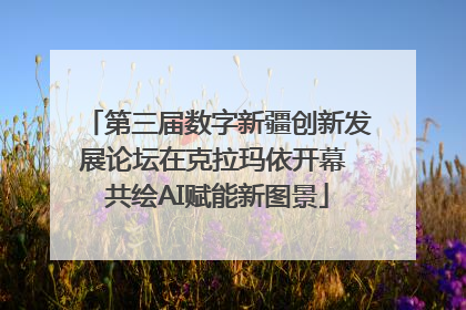 第三届数字新疆创新发展论坛在克拉玛依开幕 共绘AI赋能新图景
