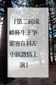 第二届成峰杯牛王争霸赛在科左中旗激情上演