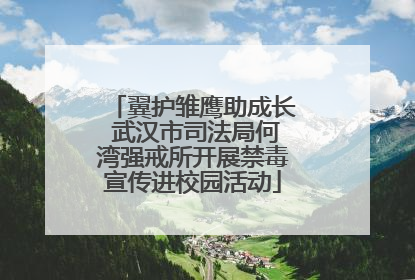 翼护雏鹰助成长 武汉市司法局何湾强戒所开展禁毒宣传进校园活动