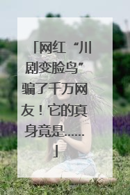 网红“川剧变脸鸟”骗了千万网友！它的真身竟是……