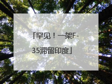 罕见！一架F-35滞留印度