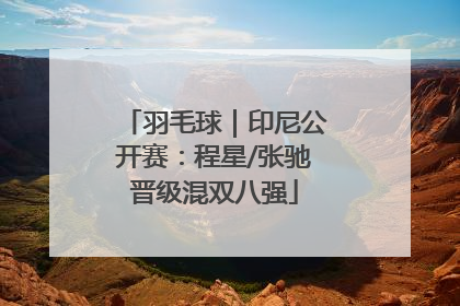 羽毛球｜印尼公开赛：程星/张驰晋级混双八强
