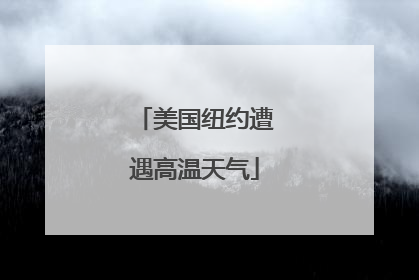 美国纽约遭遇高温天气