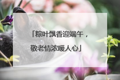 粽叶飘香迎端午，敬老情浓暖人心